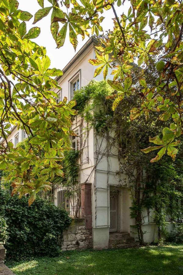 Ferienwohnung Am Dom II Naumburg  Eksteriør billede